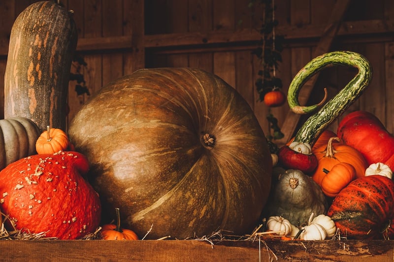 Magical Harvests